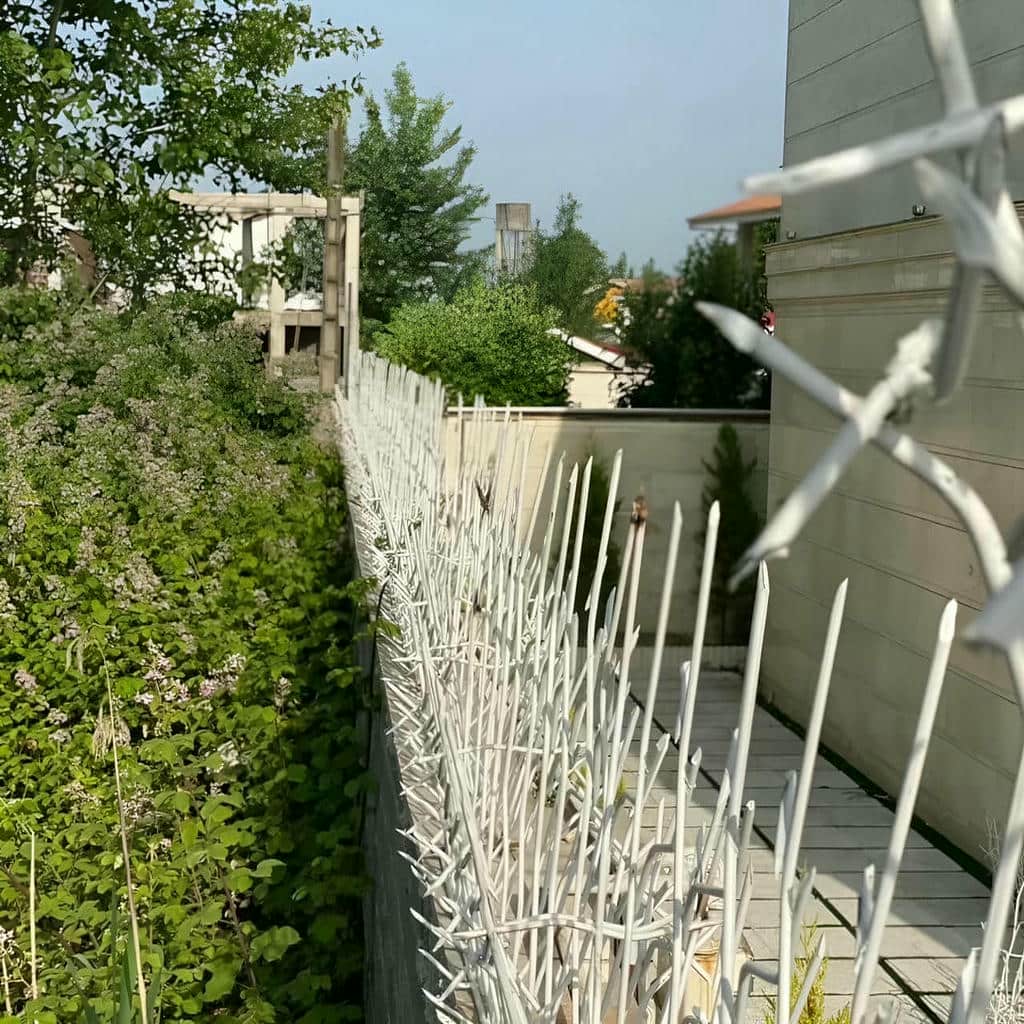 خرید حفاظ شاخ گوزنی شرایط اقلیمی در اهواز