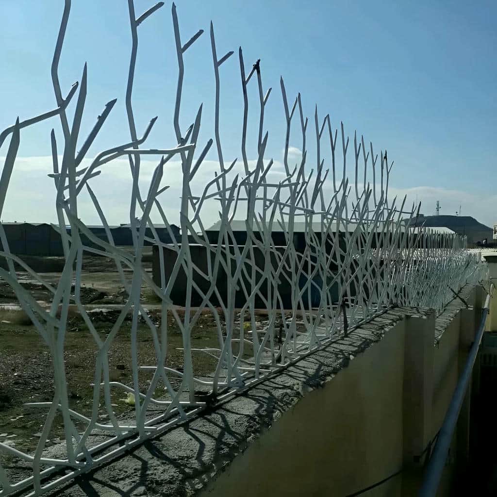 خرید حفاظ شاخ گوزنی ارتفاع متناسب در آبسرد