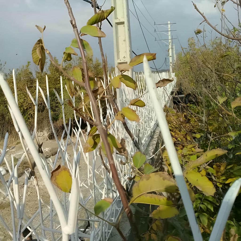 خرید حفاظ شاخ گوزنی ارتفاع کنترلشده در طالقان