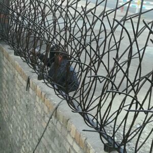 حفاظ شاخ گوزنی در استان مازندران