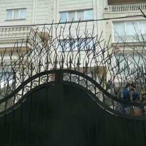 حفاظ شاخ گوزنی در بومهن