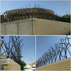 حفاظ شاخ گوزنی در شهرکرد