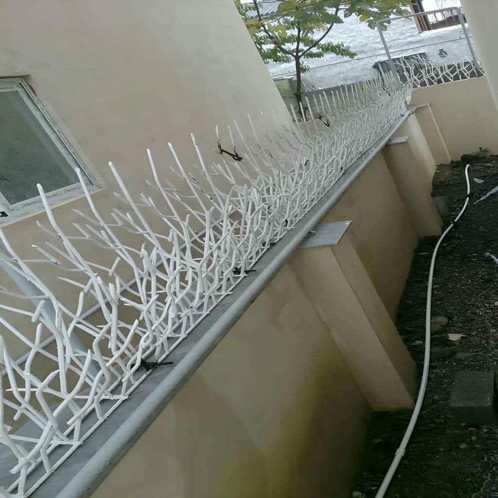 کارخانه حفاظ شاخ گوزنی پوشش الکترواستاتیک در استان گلستان