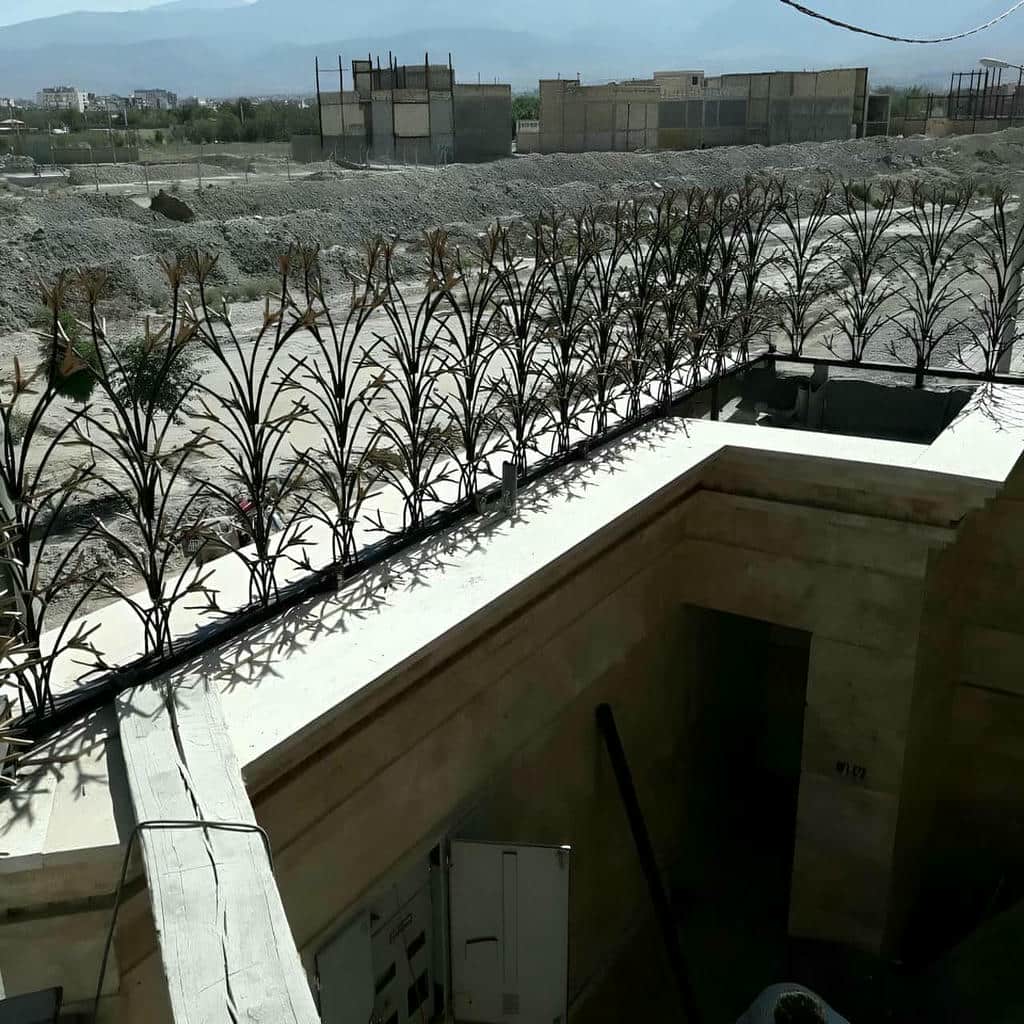 فروش حفاظ شاخ گوزنی دیوار در شیراز
