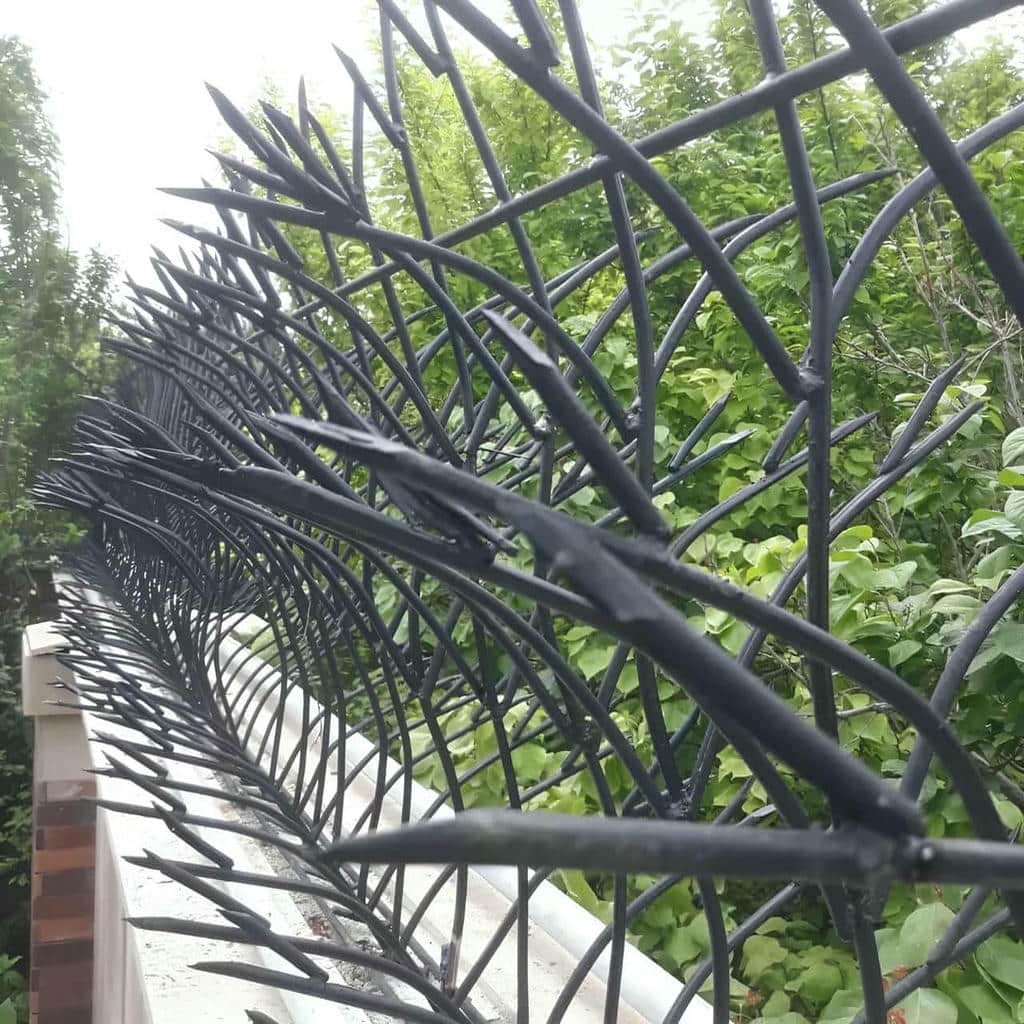 نصب حفاظ شاخ گوزنی پوشش ضدزنگ در کیش