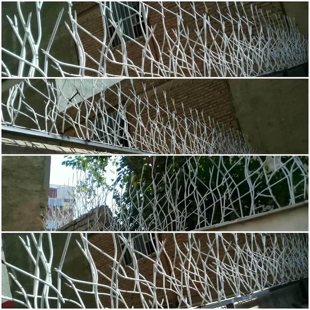 خرید حفاظ شاخ گوزنی ارتفاع متناسب در کرمانشاه