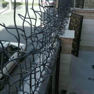 حفاظ شاخ گوزنی در فشم