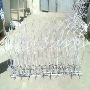 حفاظ شاخ گوزنی در نوشهر