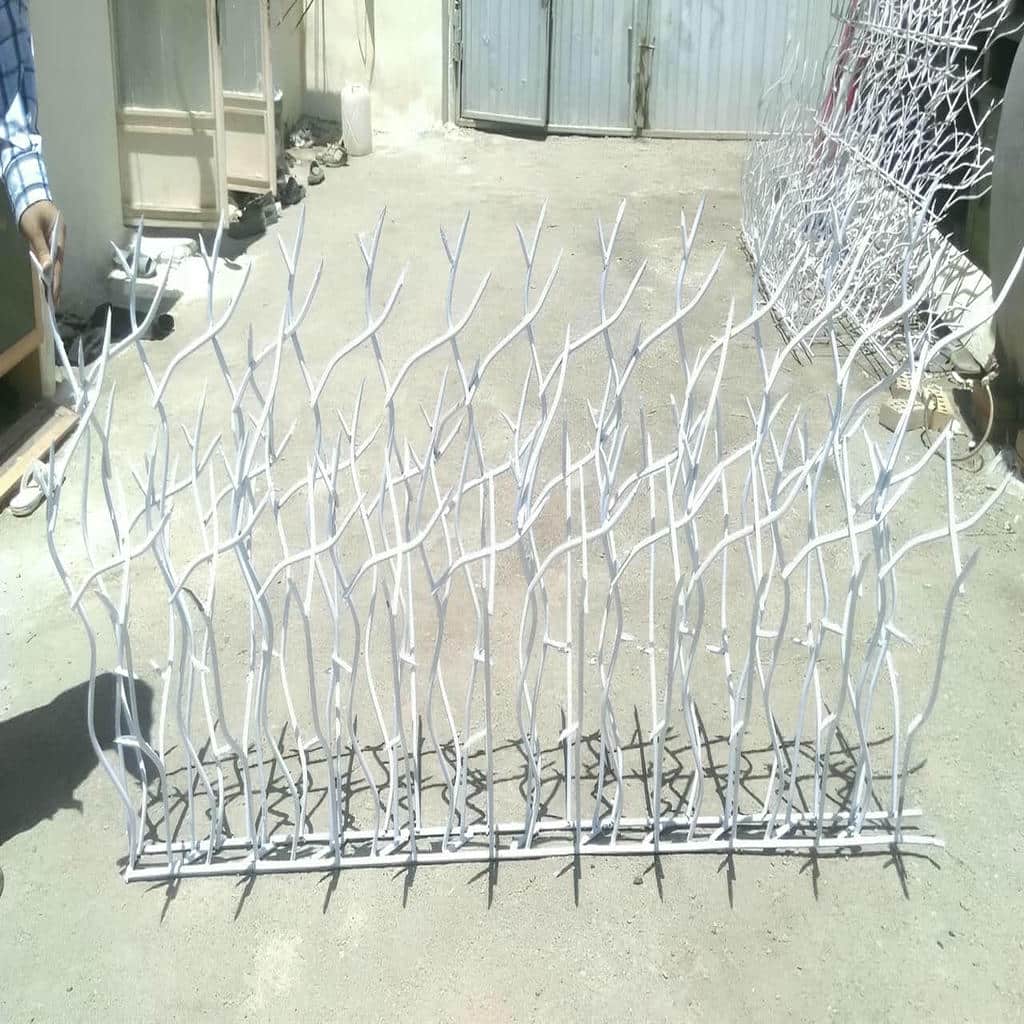 حفاظ شاخ گوزنی در نوشهر