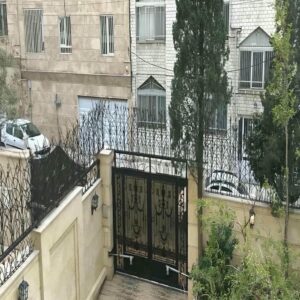 حفاظ شاخ گوزنی در قشم