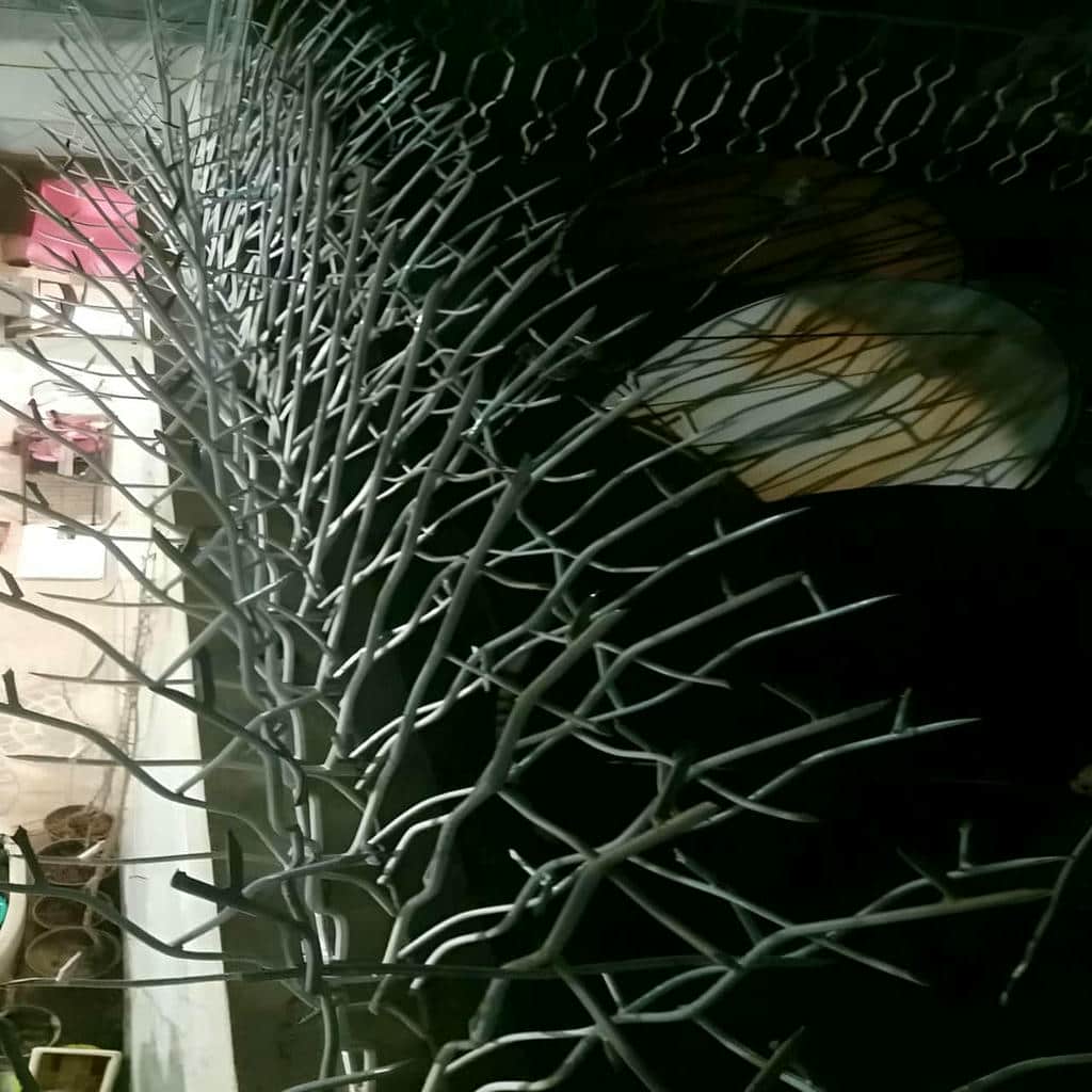 کارخانه حفاظ شاخ گوزنی سازه دیوار در اشتهارد