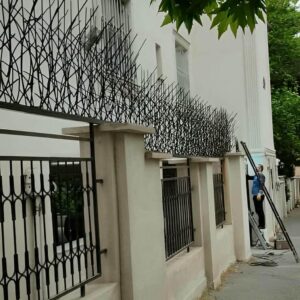 حفاظ شاخ گوزنی در آمل