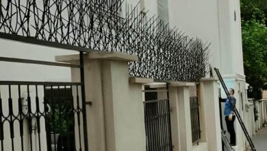 حفاظ شاخ گوزنی در آمل