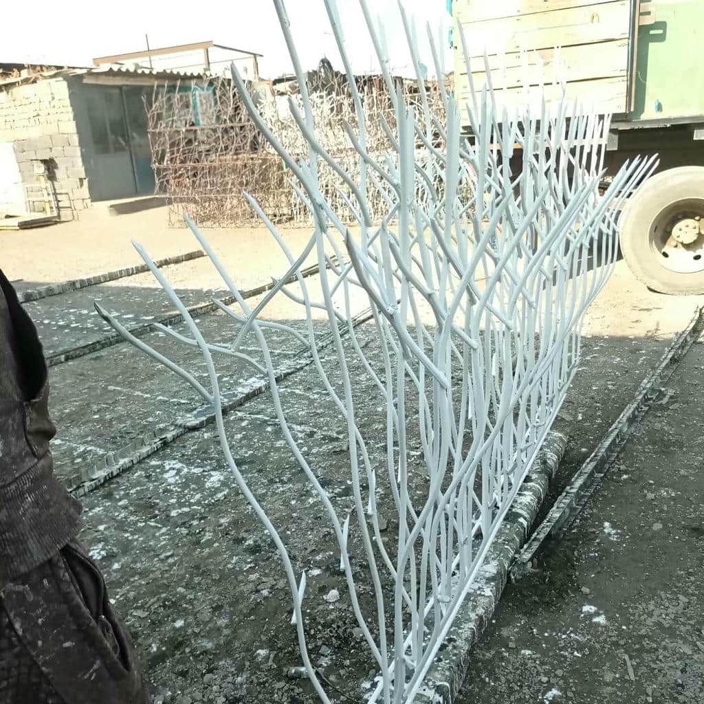 قیمت حفاظ شاخ گوزنی فرم معماری در شهریار