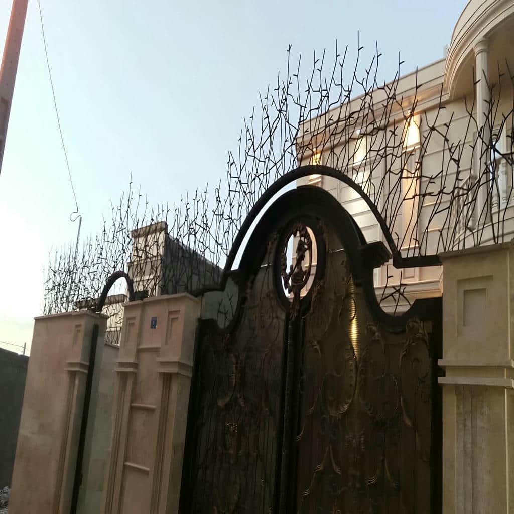 حفاظ شاخ گوزنی در کمال شهر