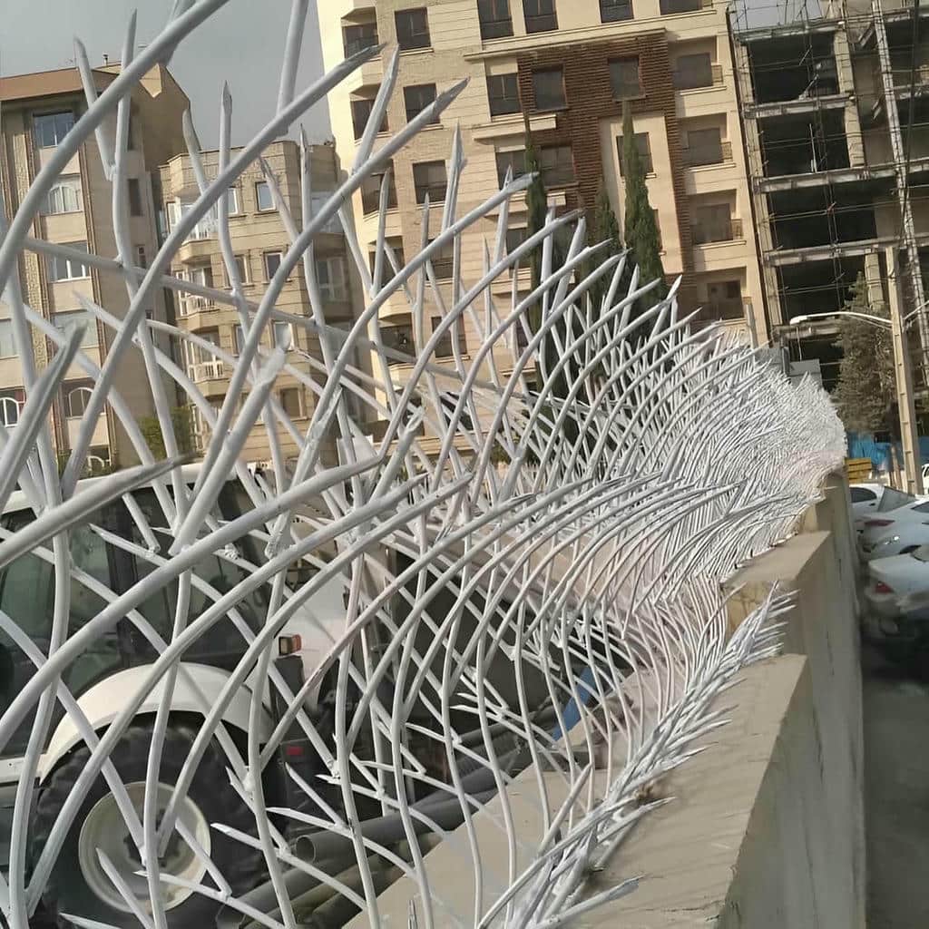 قیمت حفاظ شاخ گوزنی ارزش خرید در بابل