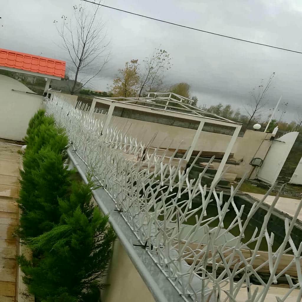 قیمت حفاظ شاخ گوزنی مسکونی در ایلام