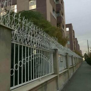 حفاظ شاخ گوزنی در خرم آباد