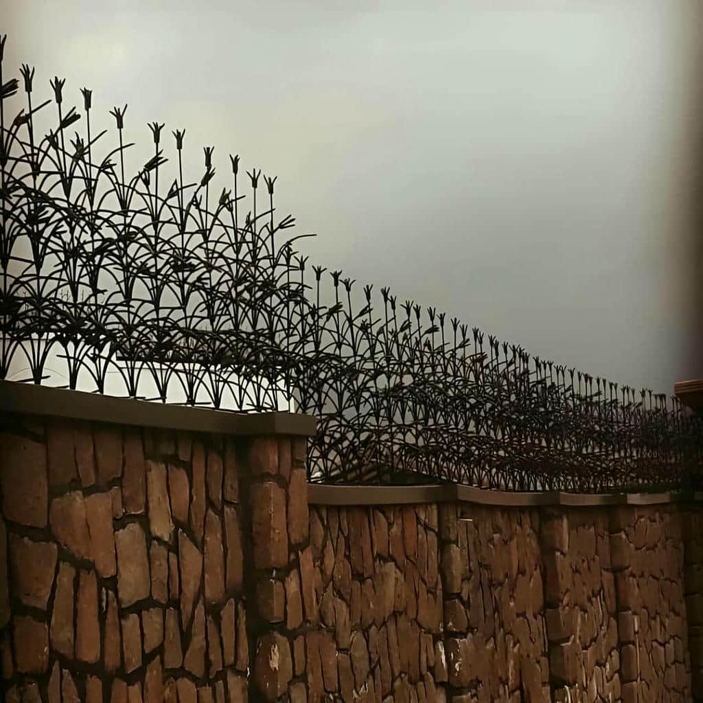 قیمت حفاظ شاخ گوزنی محوطه مسکونی در پردیس