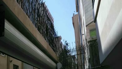 حفاظ شاخ گوزنی در کرمانشاه