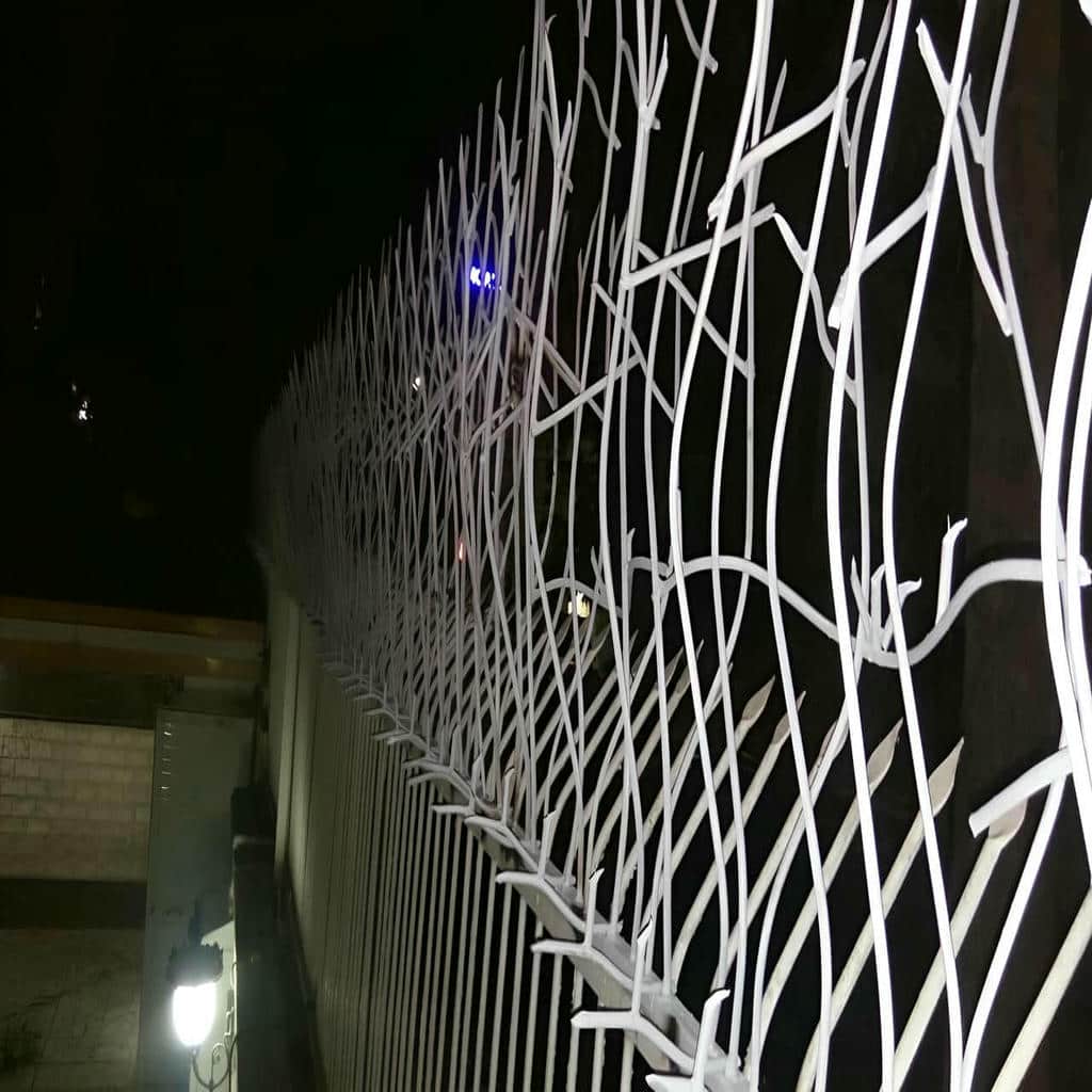 کارخانه حفاظ شاخ گوزنی هماهنگی نما در چابهار