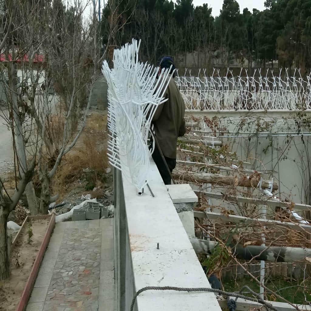 قیمت حفاظ شاخ گوزنی محوطه ای در بیرجند