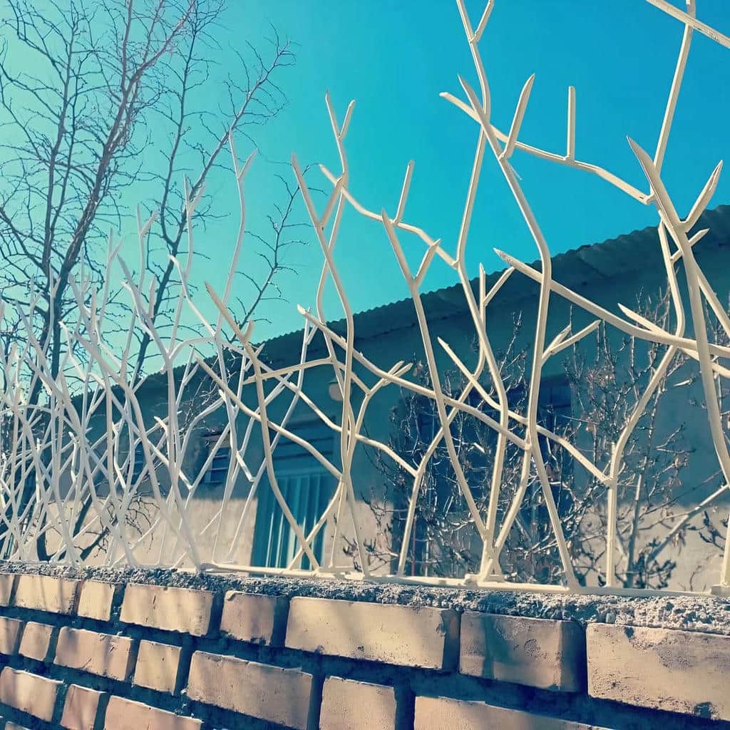 خرید حفاظ شاخ گوزنی ارتفاع متعادل در فشم