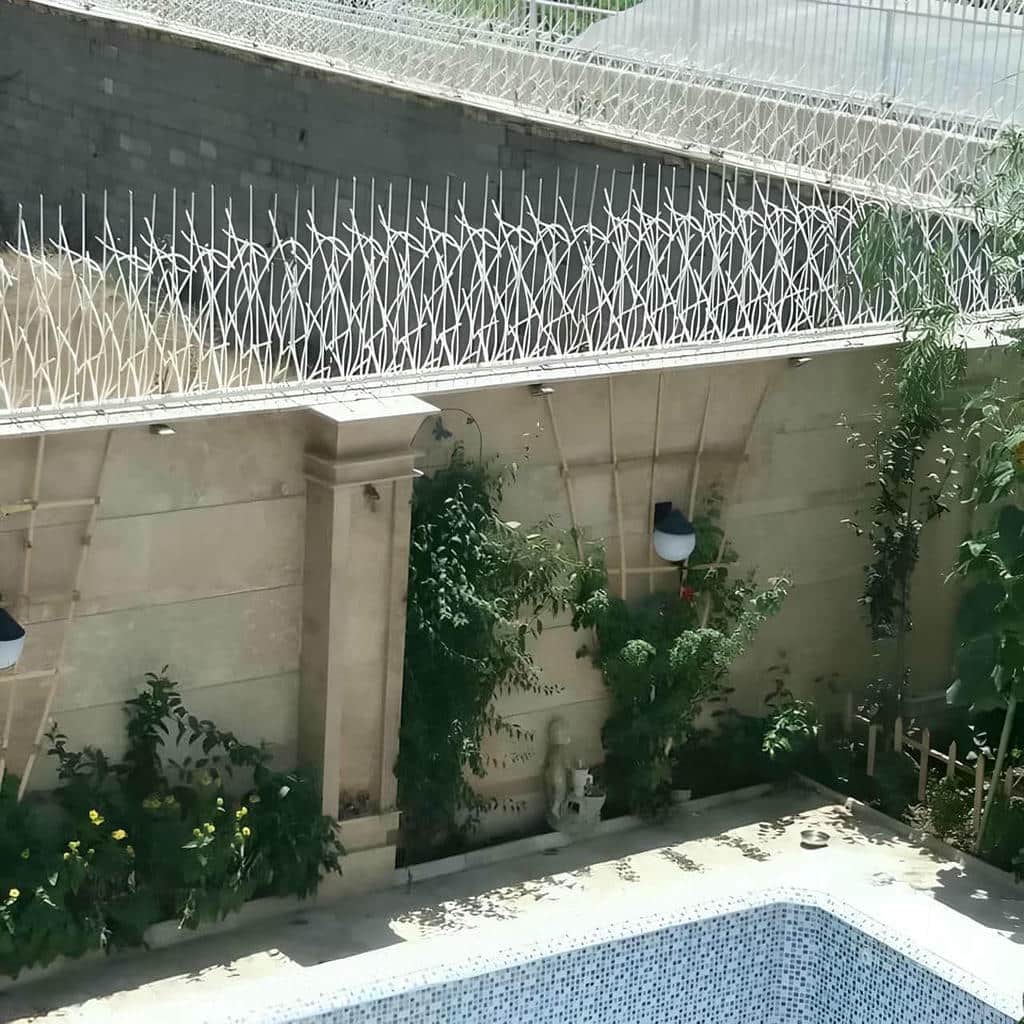 فروش حفاظ شاخ گوزنی دیوار در سبزوار