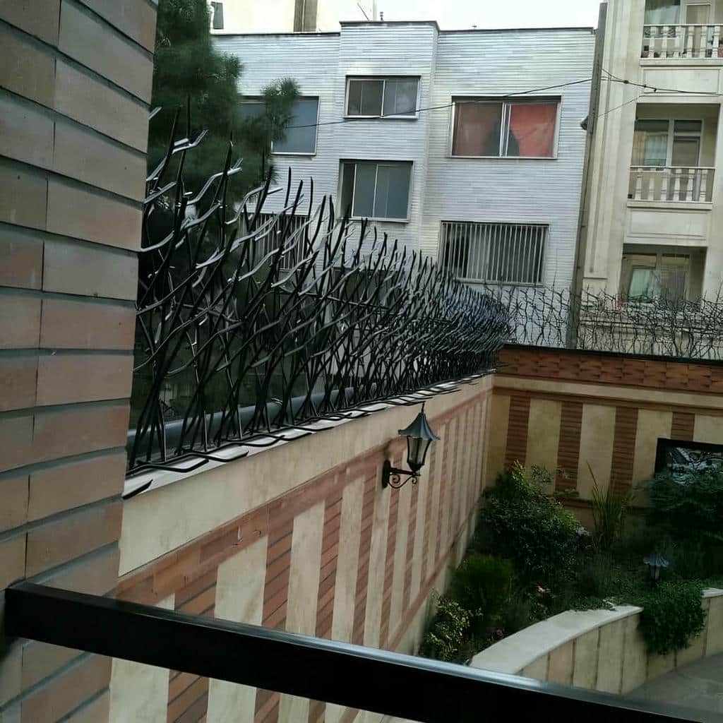 قیمت حفاظ شاخ گوزنی ویلایی در رامسر