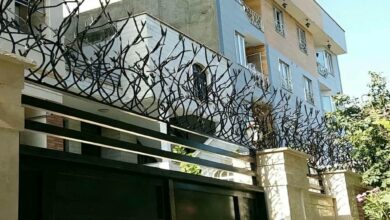 حفاظ شاخ گوزنی در ایرانشهر