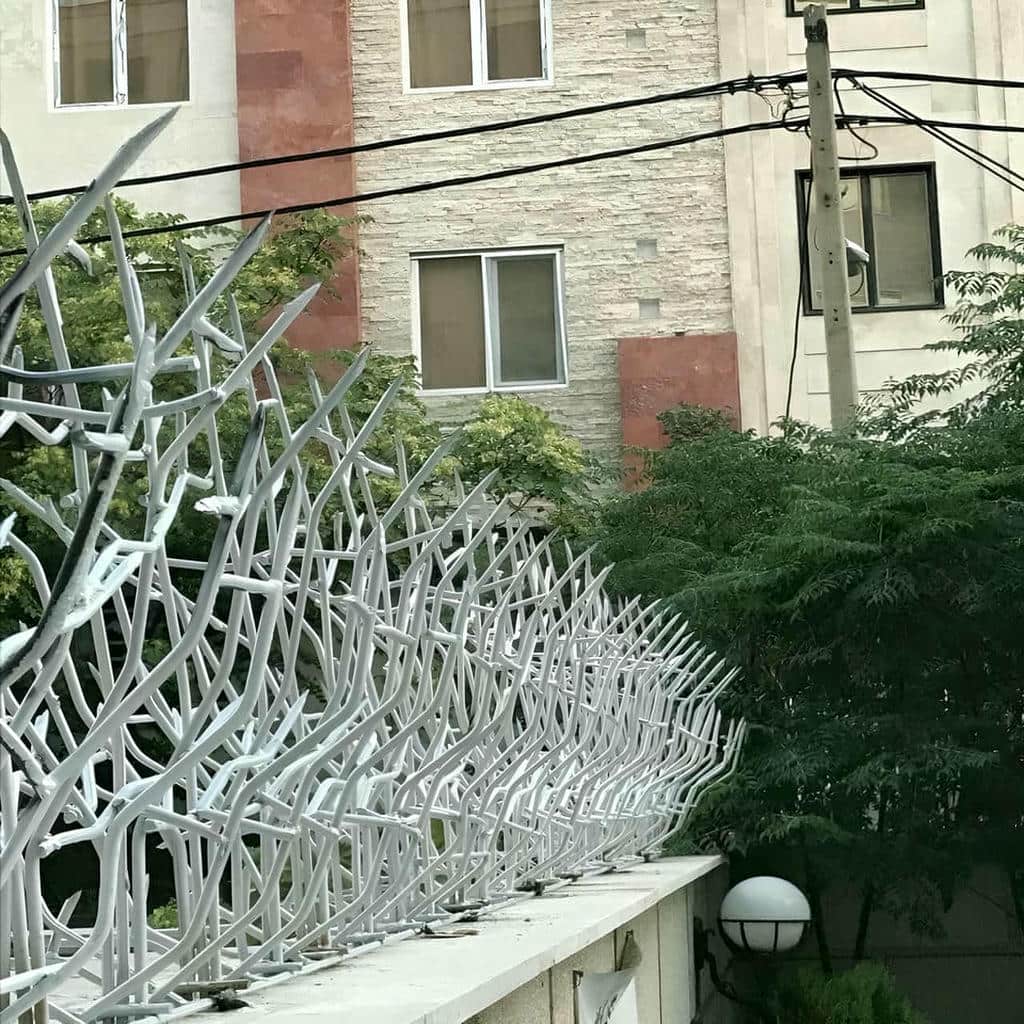کارخانه حفاظ شاخ گوزنی تناسب بصری در شهریار