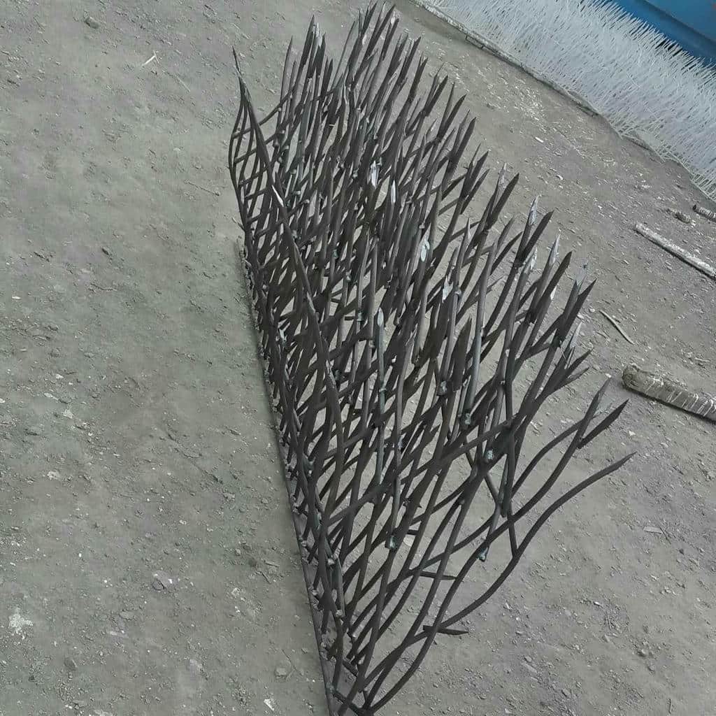 حفاظ شاخ گوزنی در عظیمیه کرج