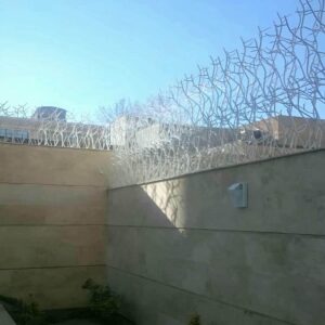 حفاظ شاخ گوزنی در قزوین