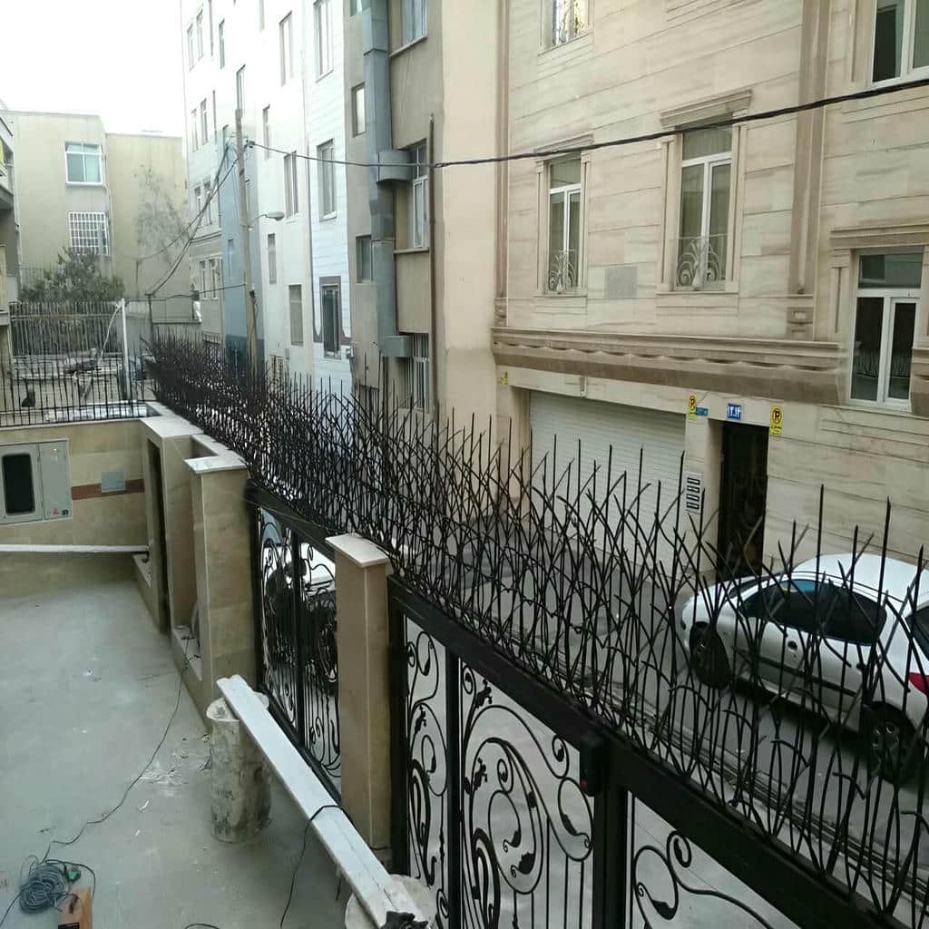 حفاظ شاخ گوزنی در ساوه