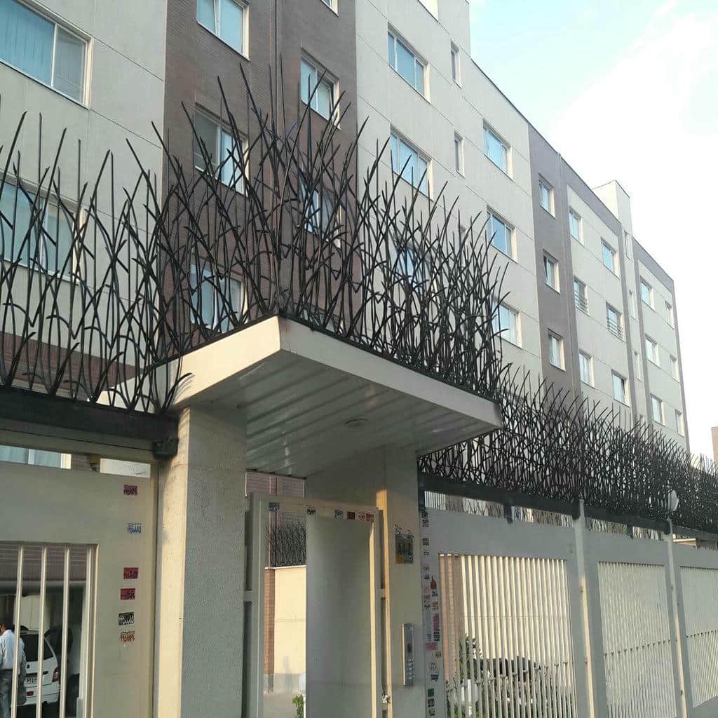 حفاظ شاخ گوزنی در پردیس