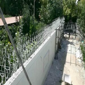 حفاظ شاخ گوزنی در نیشابور