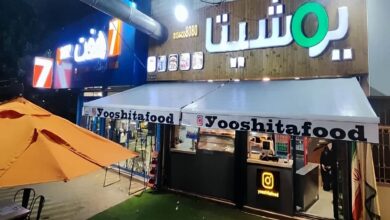 سایبان برقی در اندیشه