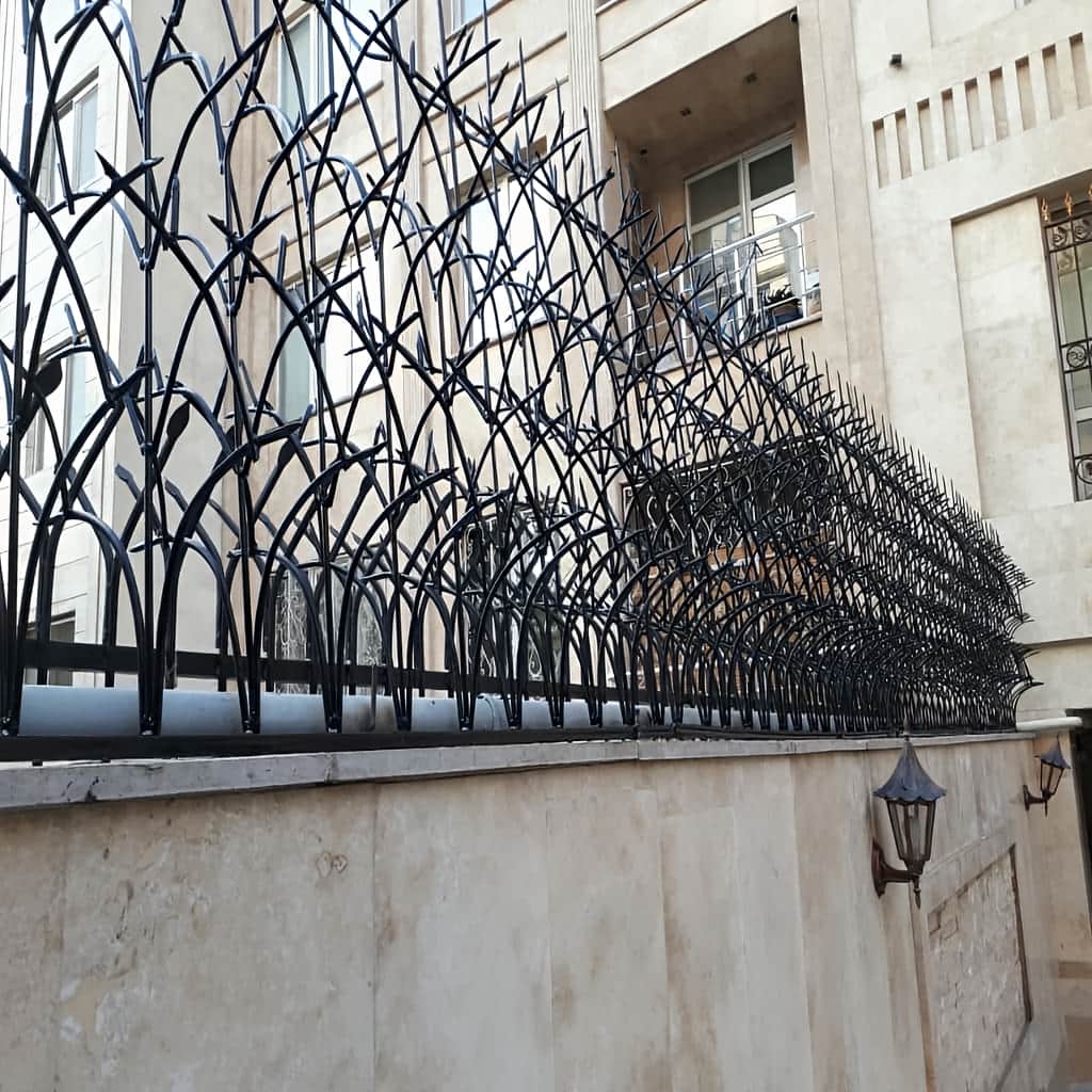 حفاظ شاخ گوزنی خاردار