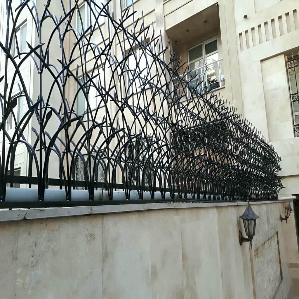 حفاظ شاخ گوزنی با ارتفاع مناسب دیوار