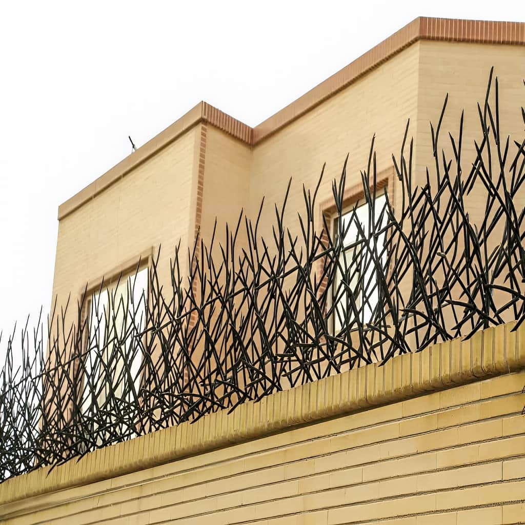فروش حفاظ بوته ای دیوار پرتراکم برای افزایش امنیت