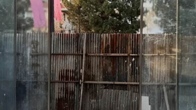 12 نمونه درب اتوماتیک شیشه ای فریم لس سکوریت
