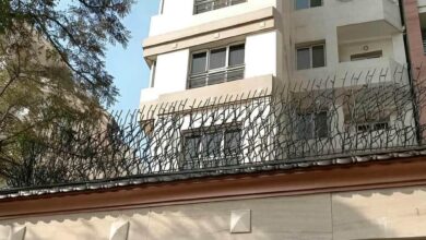 9 مدل حفاظ شاخ گوزنی پرتراکم امنیتی