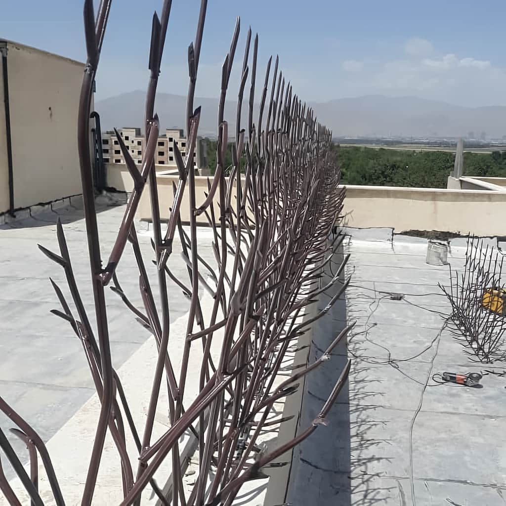 حفاظ شاخ گوزنی کم تراکم