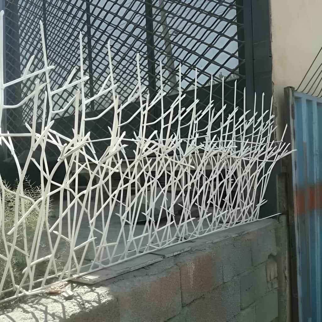 محافظ شاخ گوزنی روی دیوار