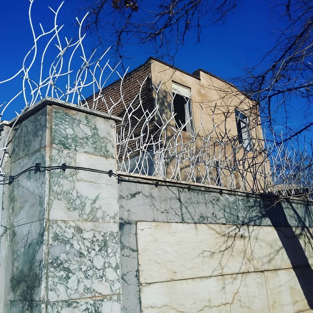 قیمت حفاظ شاخ گوزنی