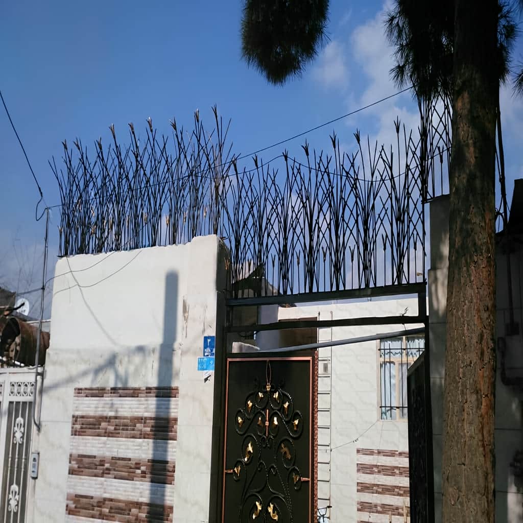 حفاظ‌های روی دیوار