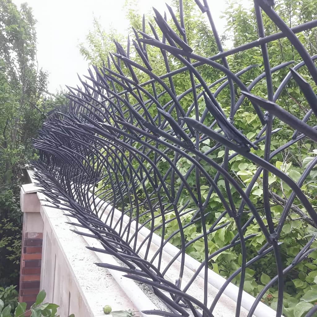 حفاظ کشی بالای دیوار حیاط