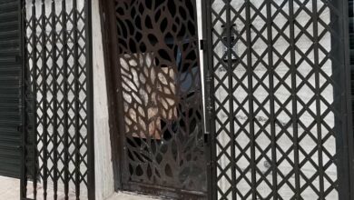 درب حفاظ آکاردئونی در همدان