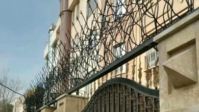 راهنمایی برای یافتن حفاظ شاخ گوزنی با قیمت مناسب