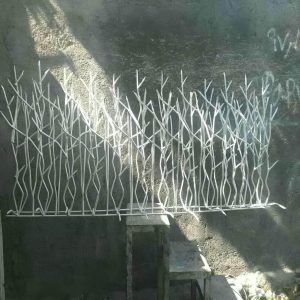معرفی محافظ شاخ گوزنی دیوار
